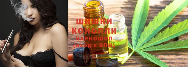 стаф Абаза