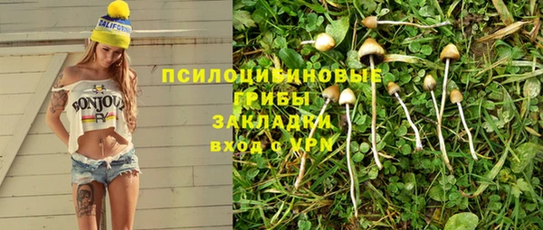 стаф Абаза