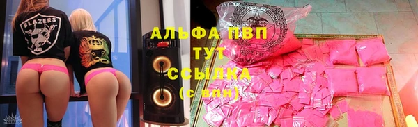 стаф Абаза